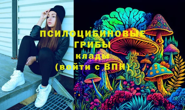 мяу мяу мука Арсеньев