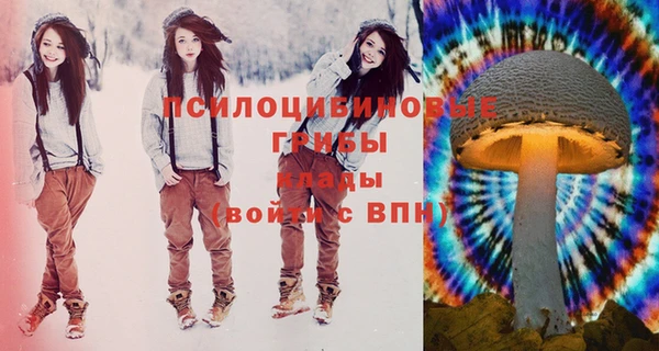 тгк Осинники